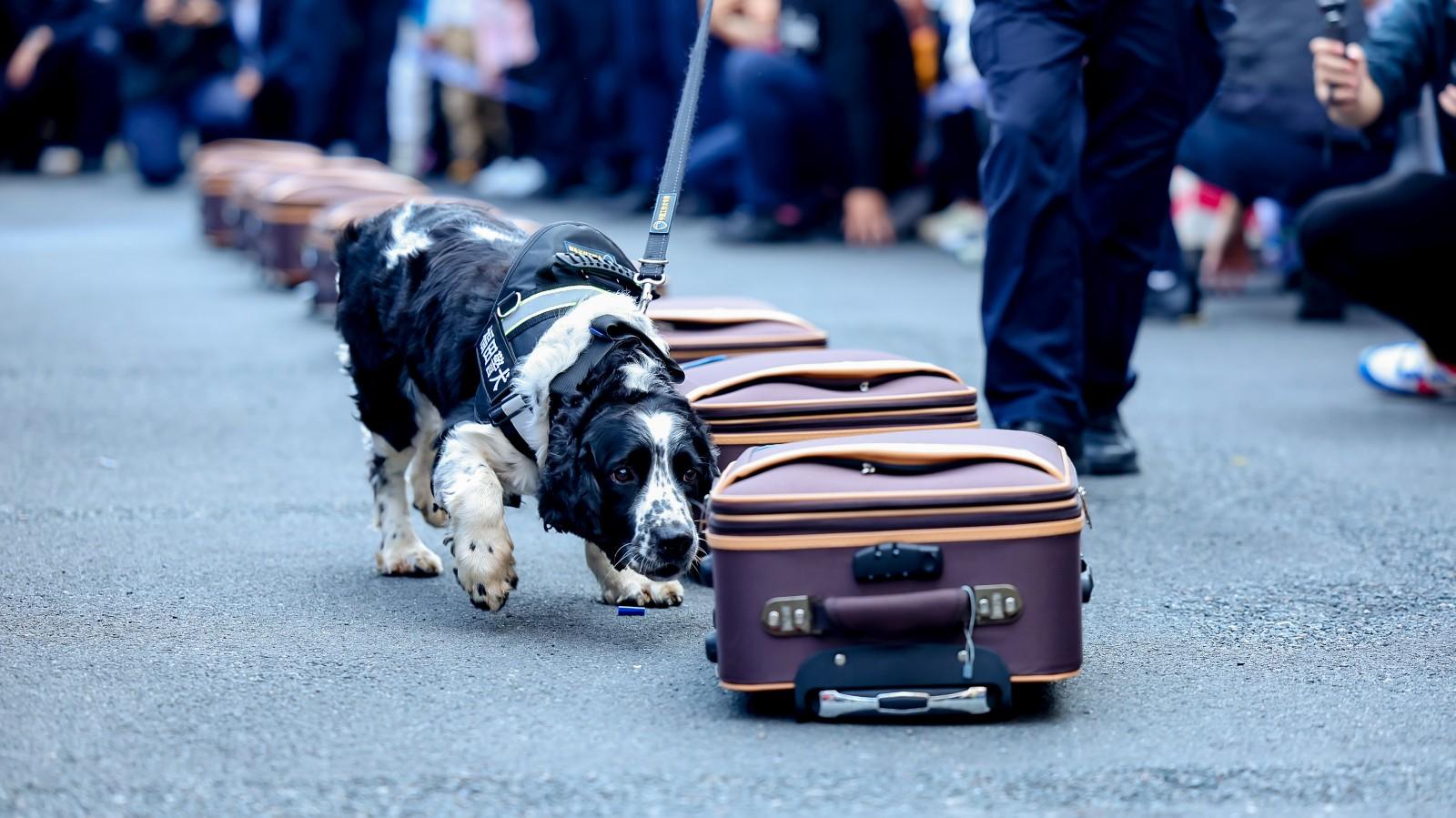 ayx 中国官网登录-上海久事训练开放日，赛前完成体检引欢呼，德国杯在即，高层口径保持一致